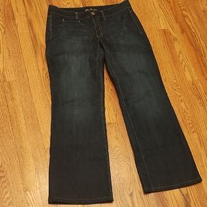 Ann Taylor Dark Indigo Flare Jeans
